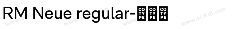 RM Neue regular字体转换